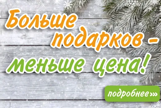 Специальная акция к Новому году!